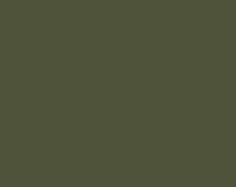 captu-4pfs01.png